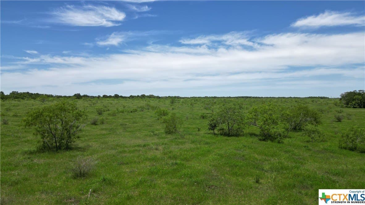 255 acres in Gonzales County - photo 43
