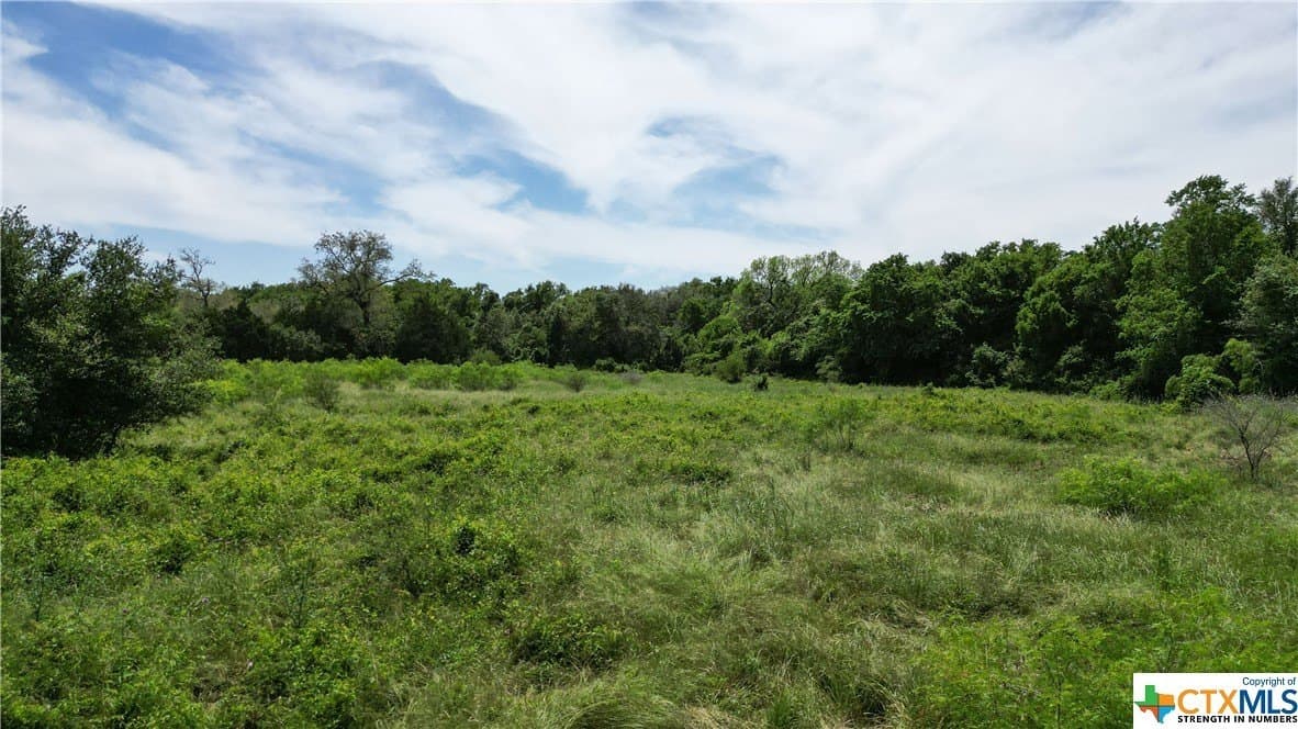 255 acres in Gonzales County - photo 21
