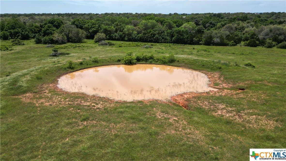 255 acres in Gonzales County - photo 17