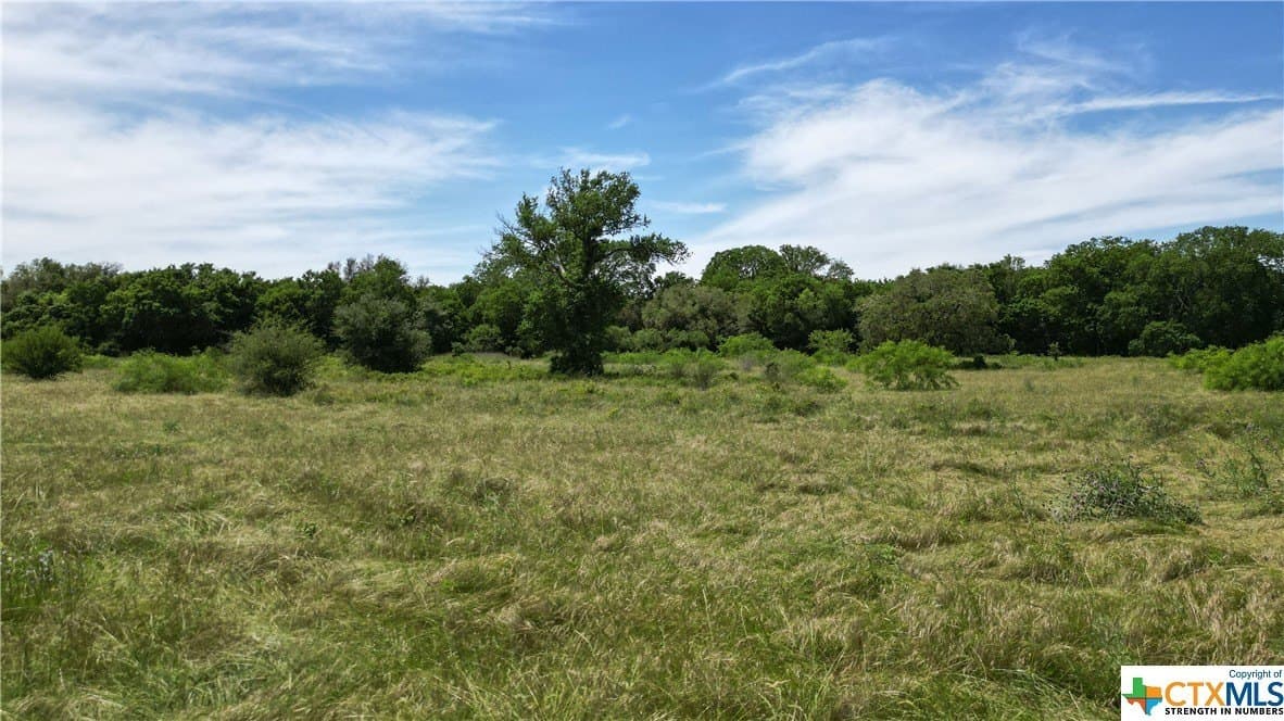 255 acres in Gonzales County - photo 32