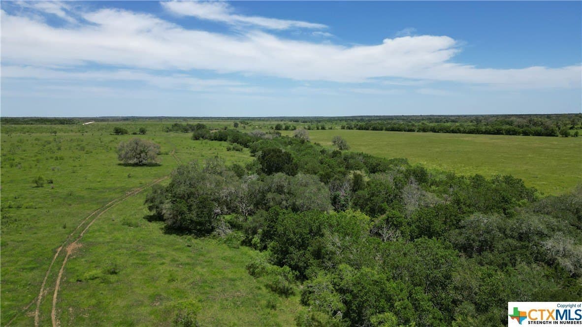 255 acres in Gonzales County - photo 22