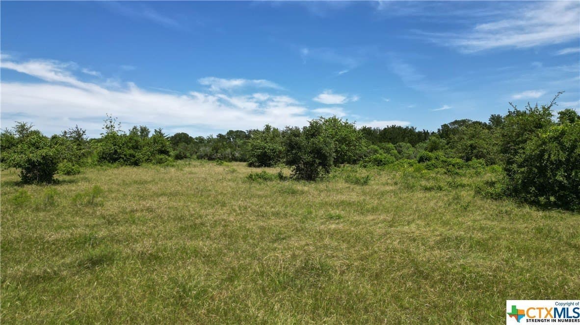 255 acres in Gonzales County - photo 34