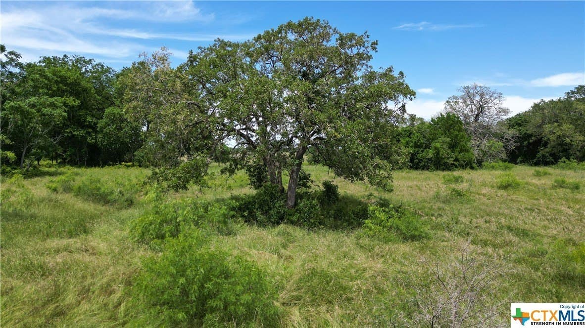 255 acres in Gonzales County - photo 29