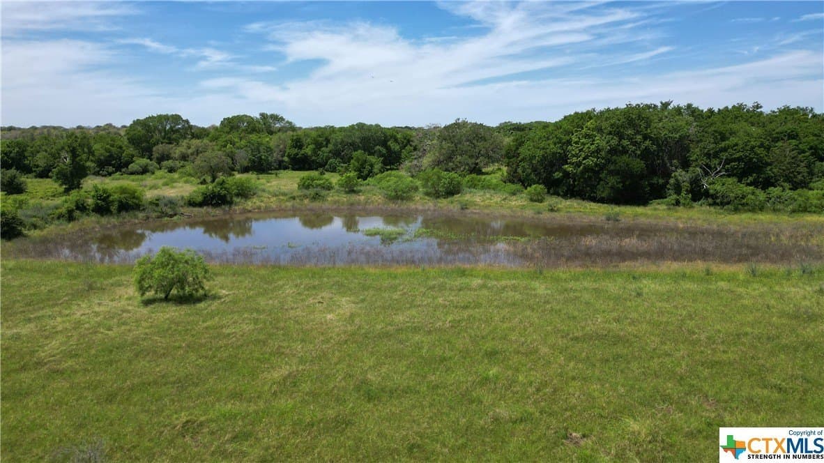 255 acres in Gonzales County - photo 5