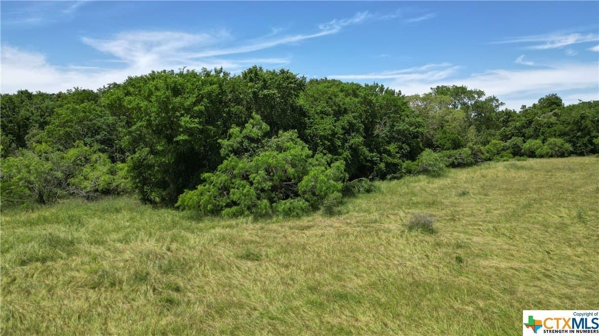 255 acres in Gonzales County - photo 9