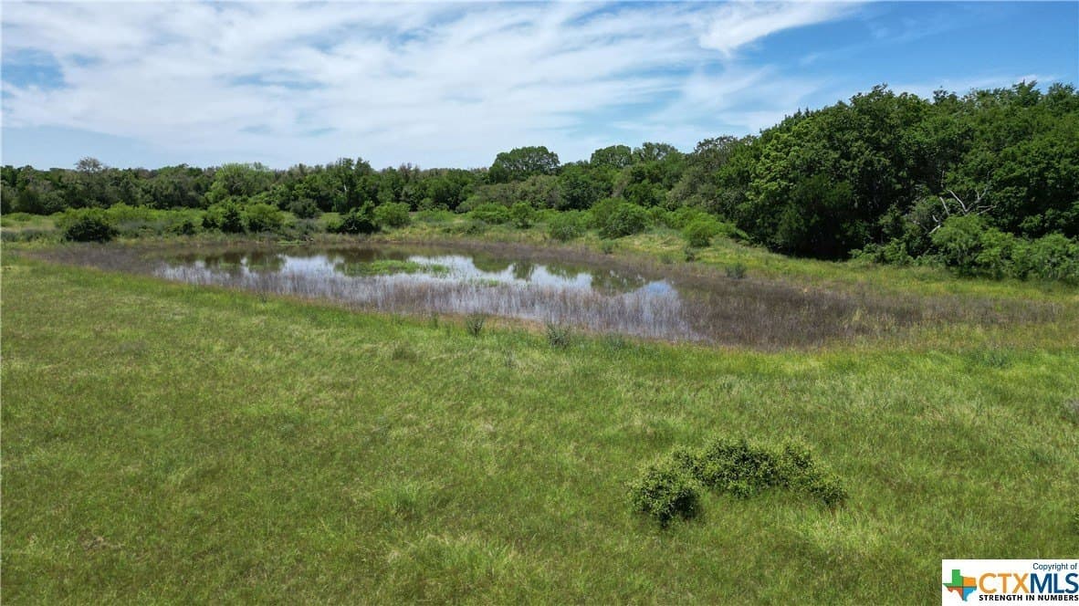 255 acres in Gonzales County - photo 6
