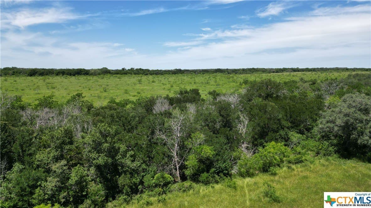 255 acres in Gonzales County - photo 20