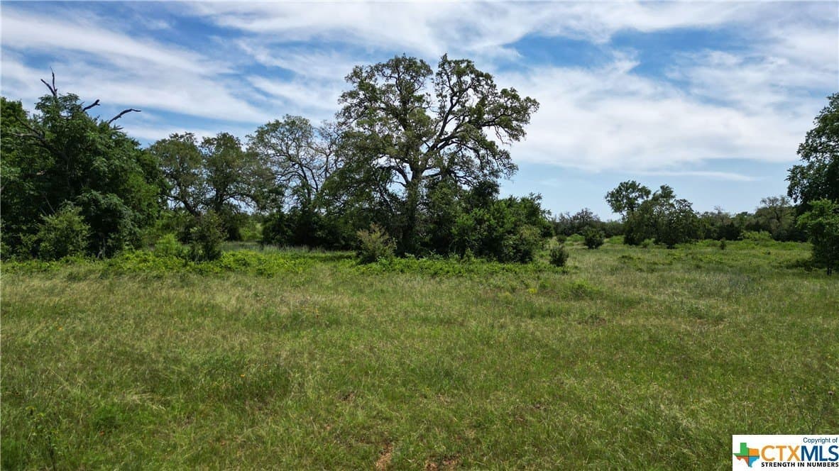 255 acres in Gonzales County - photo 28