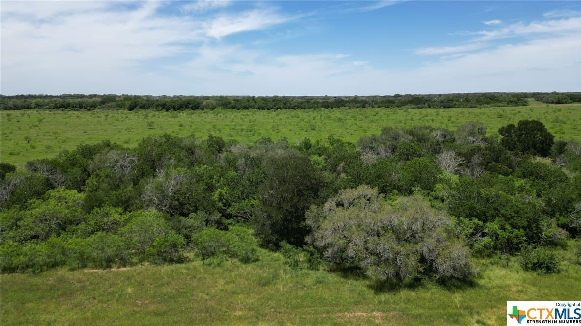 255 acres in Gonzales County - photo 13