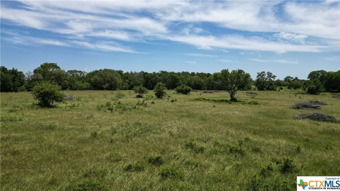 255 acres in Gonzales County - photo 33