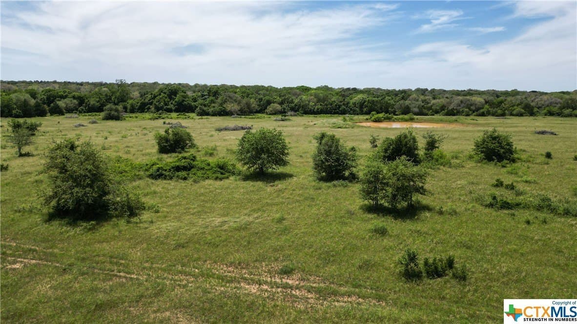 255 acres in Gonzales County - photo 31