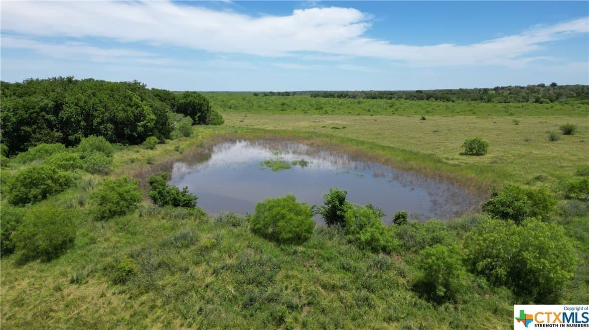 255 acres in Gonzales County - photo 3