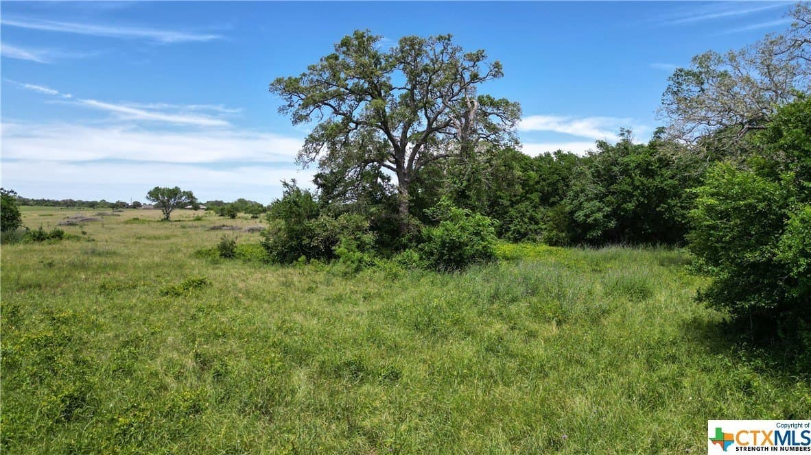 255 acres in Gonzales County - photo 26
