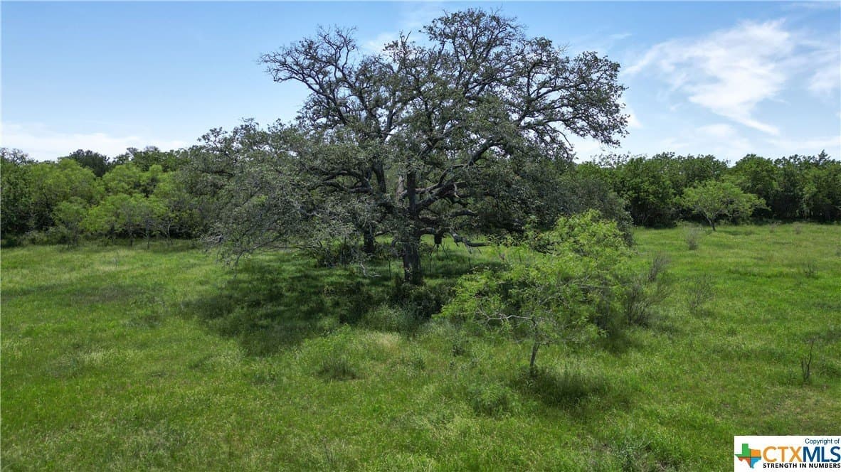 255 acres in Gonzales County - photo 38