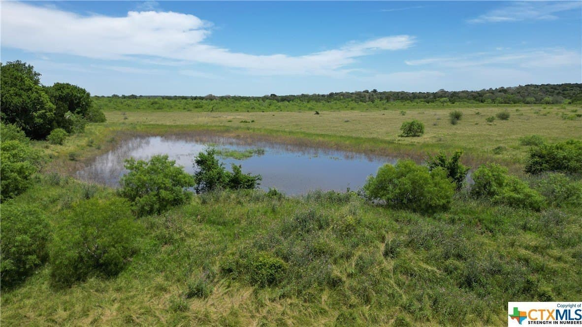 255 acres in Gonzales County - photo 4