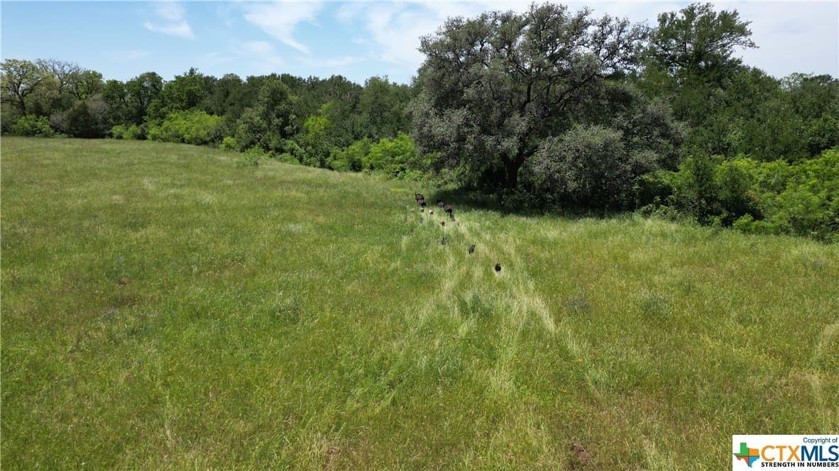 255 acres in Gonzales County - photo 24