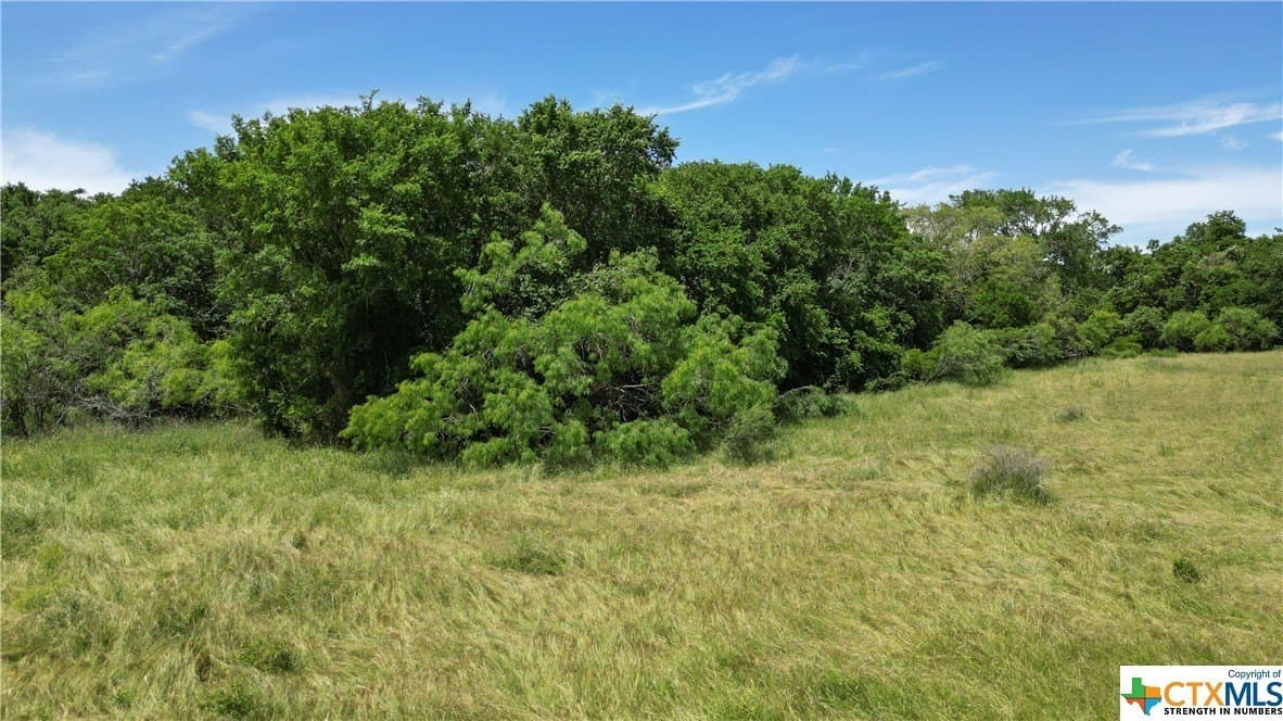 255 acres in Gonzales County - photo 8