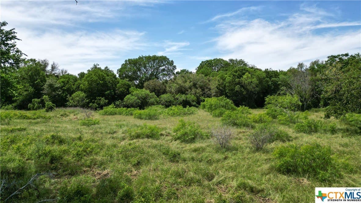 255 acres in Gonzales County - photo 11