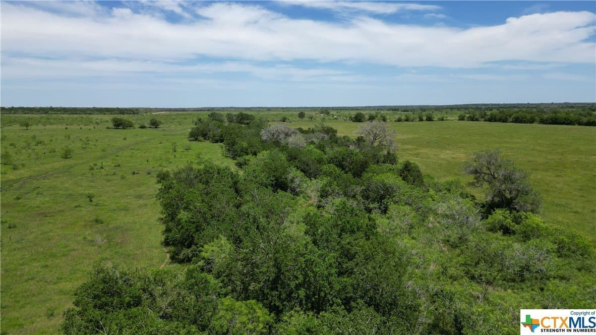 255 acres in Gonzales County - photo 23
