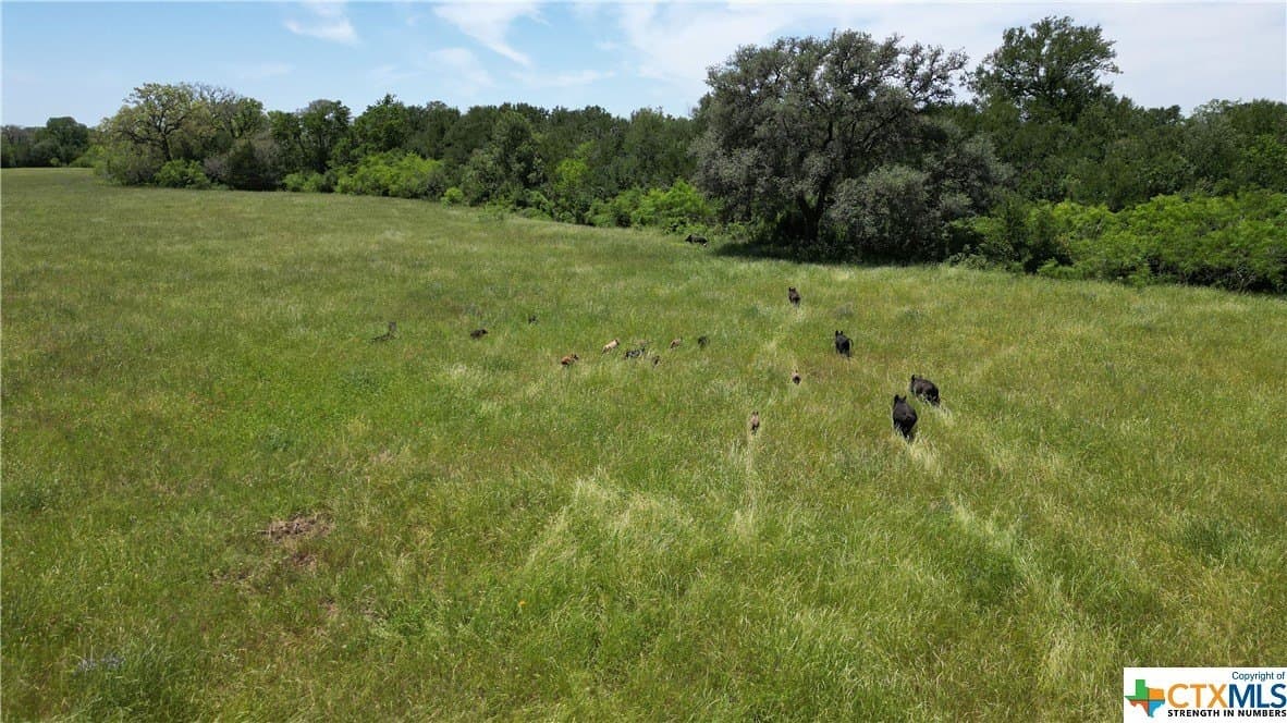 255 acres in Gonzales County - photo 25
