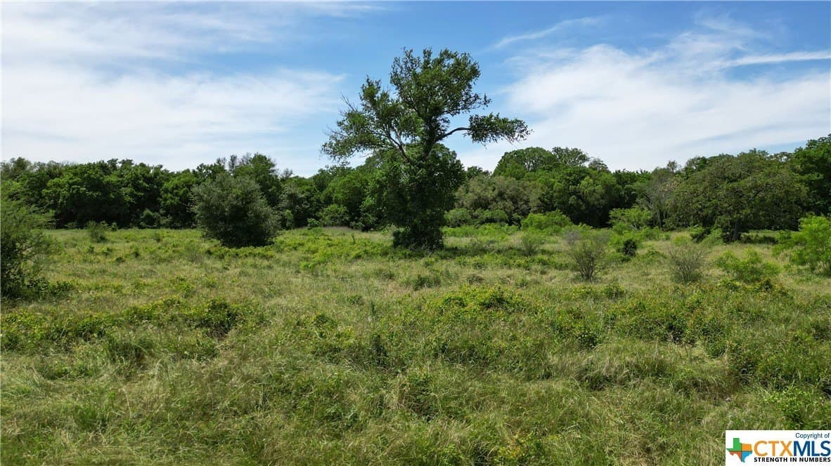 255 acres in Gonzales County - photo 35