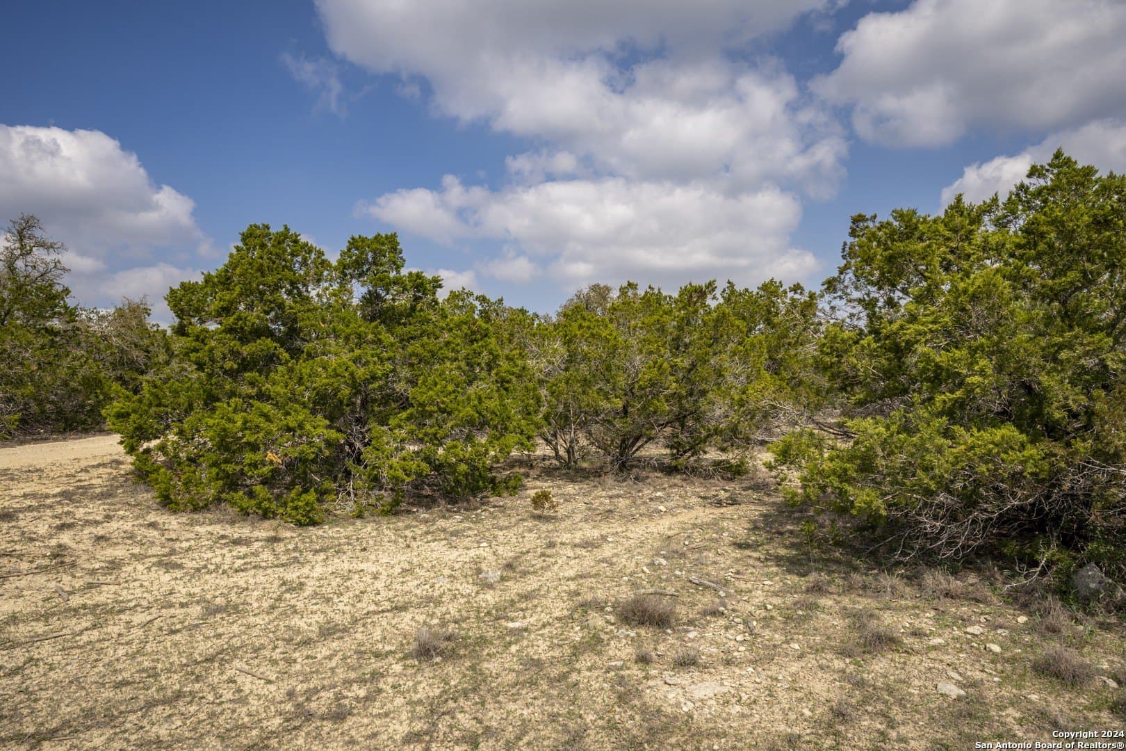 0.25 acres in Comal County - photo 3