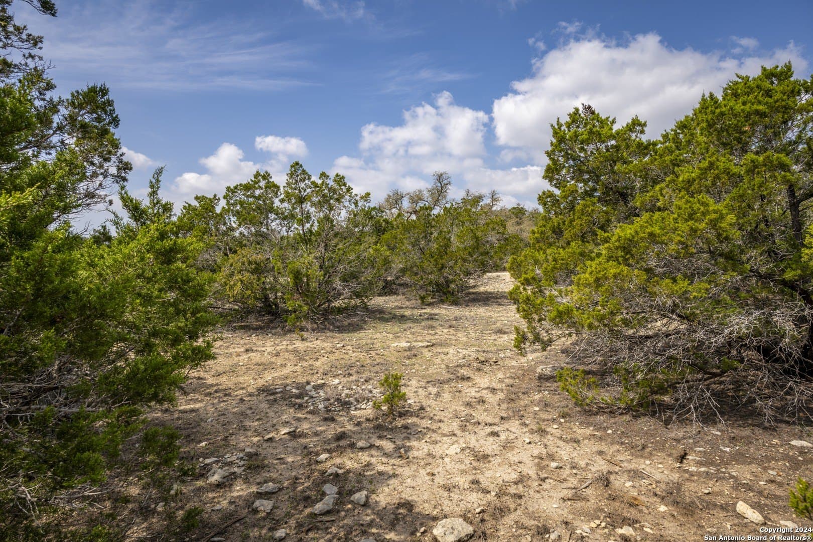 0.25 acres in Comal County - photo 8