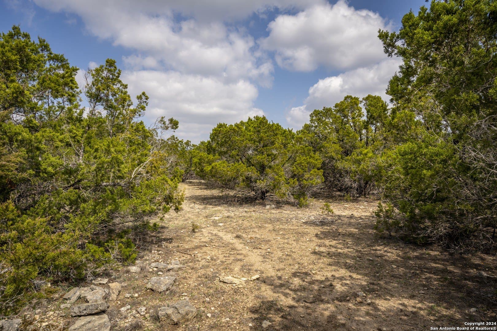 0.25 acres in Comal County - photo 4