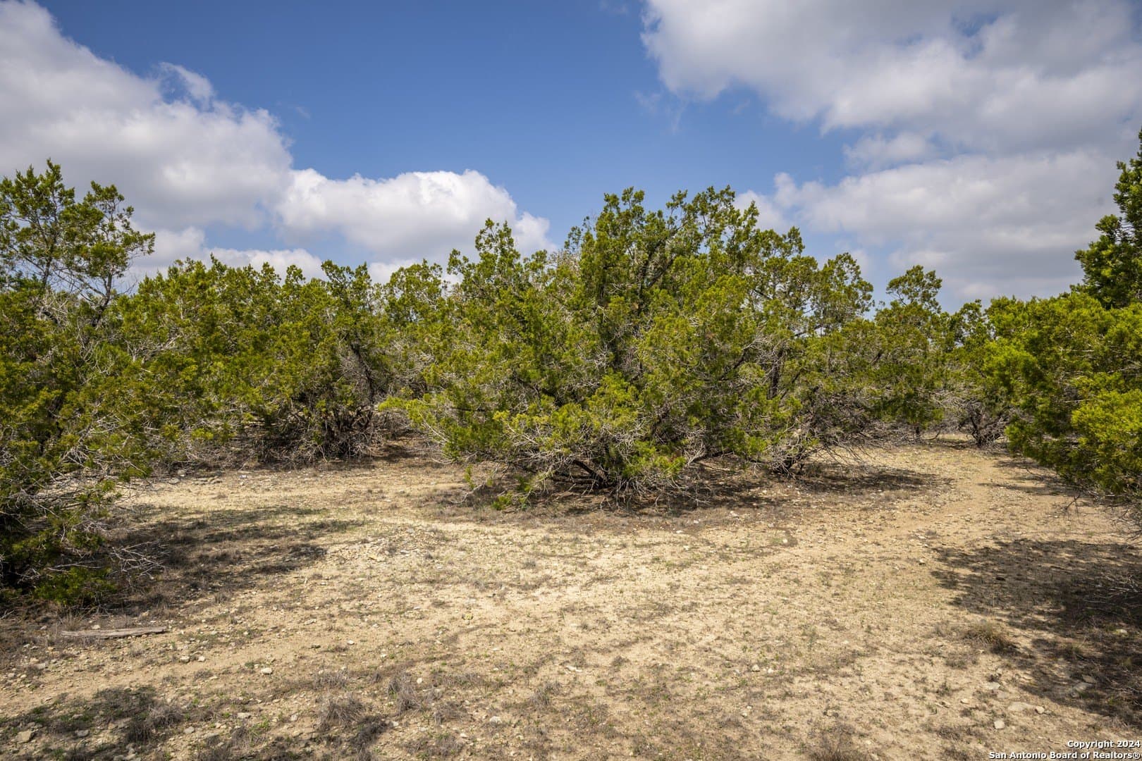 0.25 acres in Comal County - photo 5