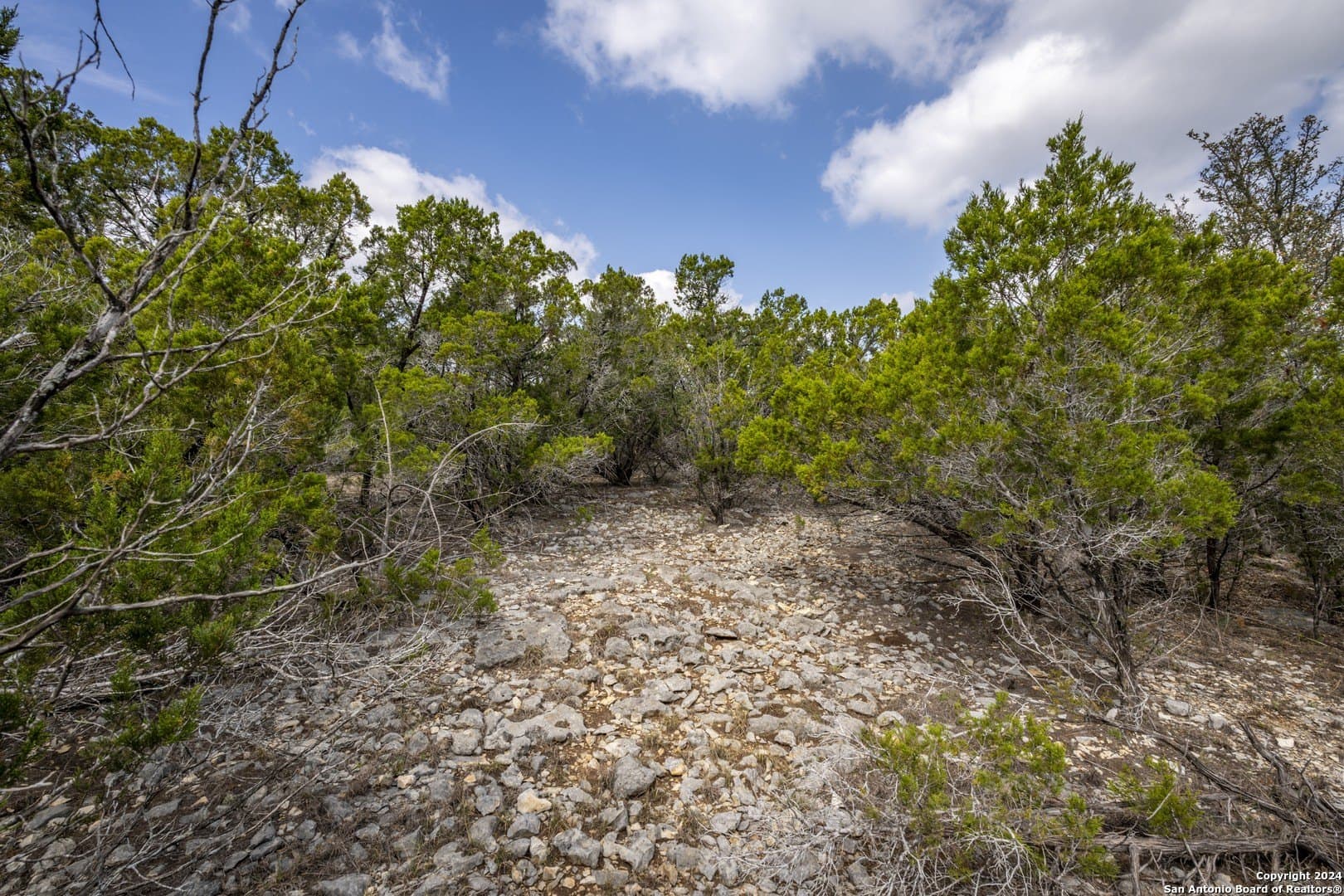 0.25 acres in Comal County - photo 9