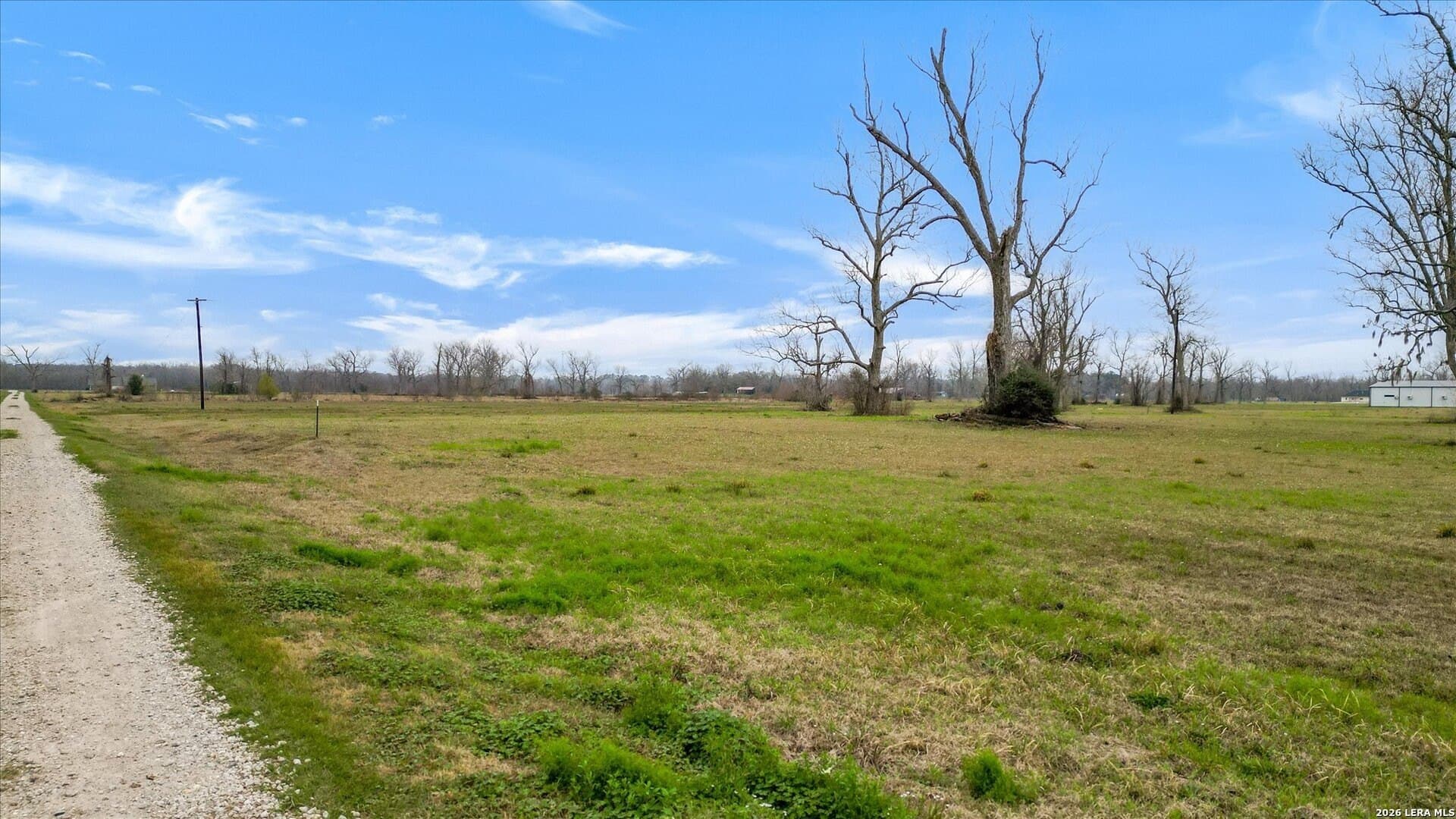 10.01 acres in Liberty County - photo 8