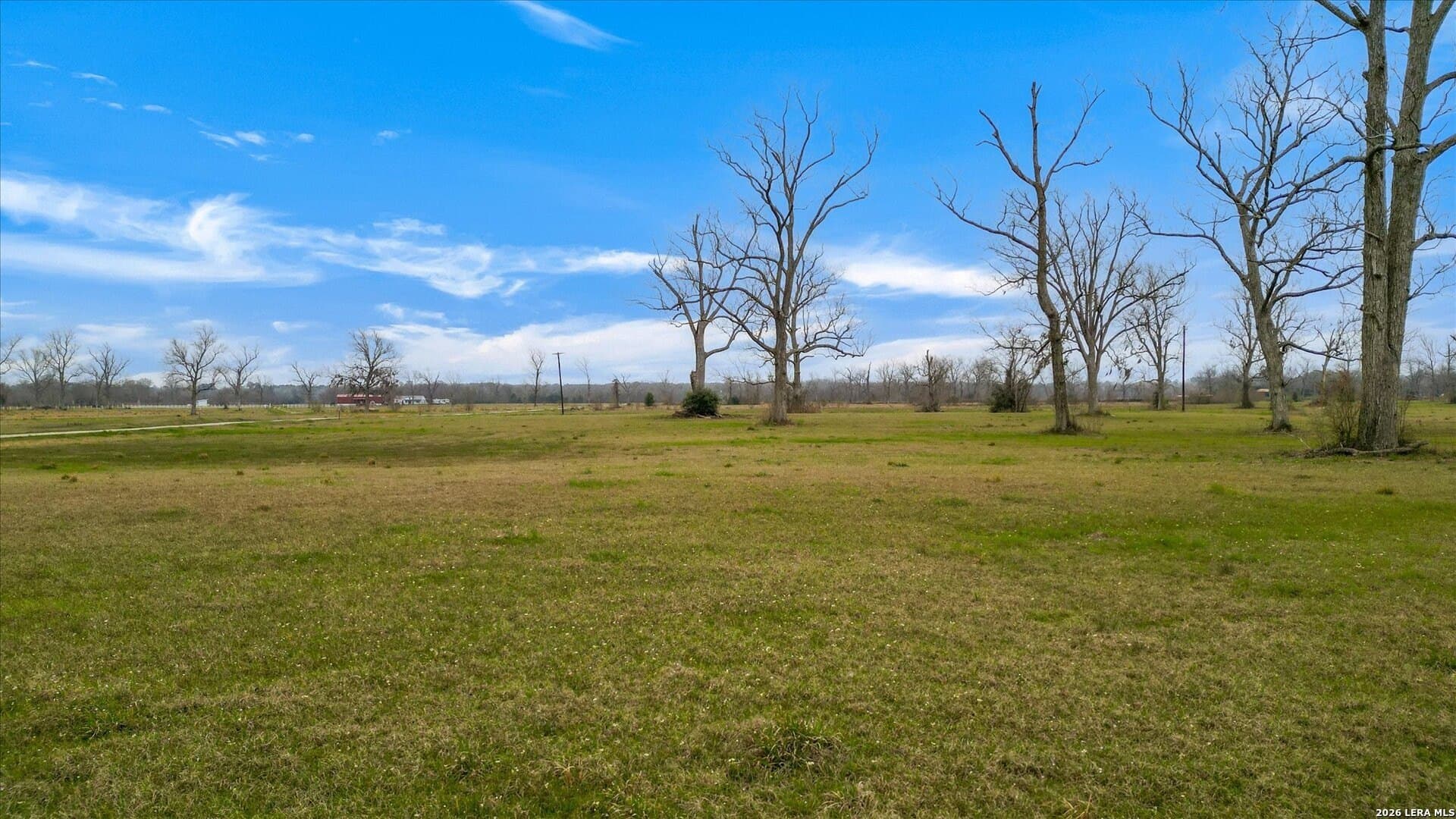 10.01 acres in Liberty County - photo 7