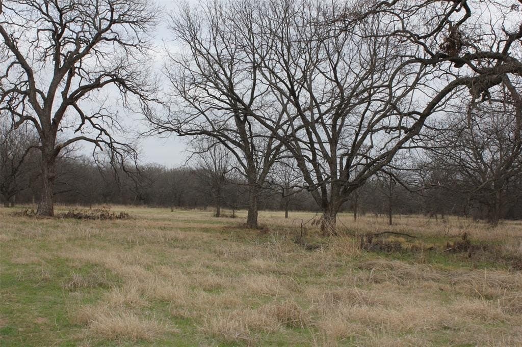 165.7 acres in Montague County - photo 37