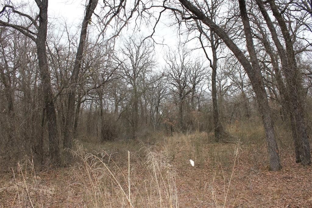165.7 acres in Montague County - photo 40