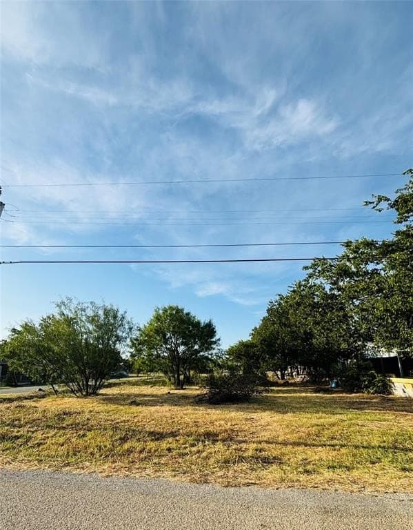 0.16 acres in Palo Pinto County - photo 2