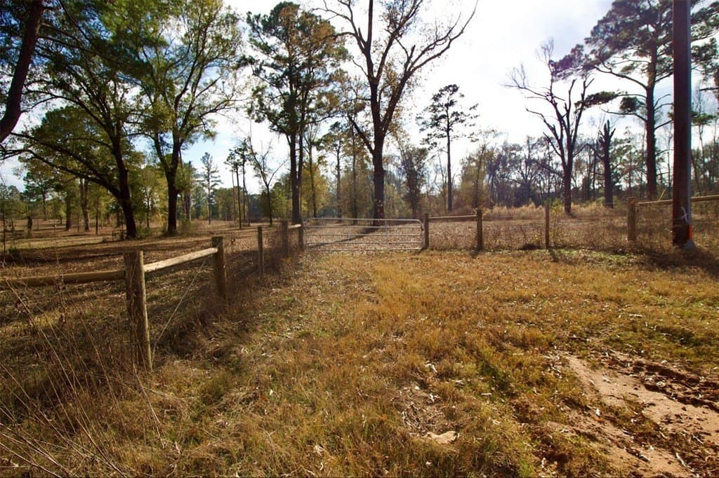 24.69 acres in HOUSTON County - photo 3