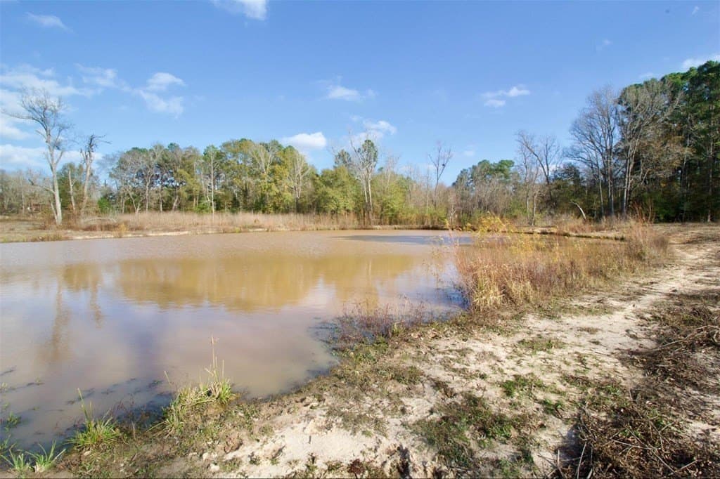 24.69 acres in HOUSTON County - photo 18