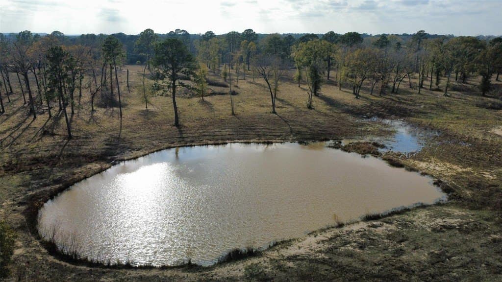 24.69 acres in HOUSTON County - photo 26