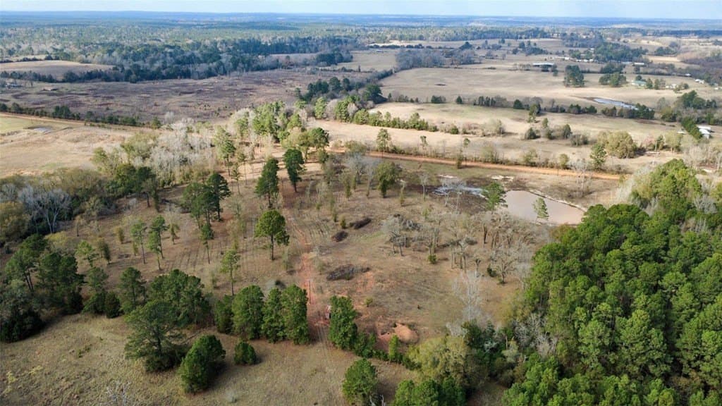 24.69 acres in HOUSTON County - photo 30