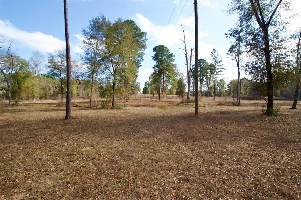 24.69 acres in HOUSTON County - photo 21