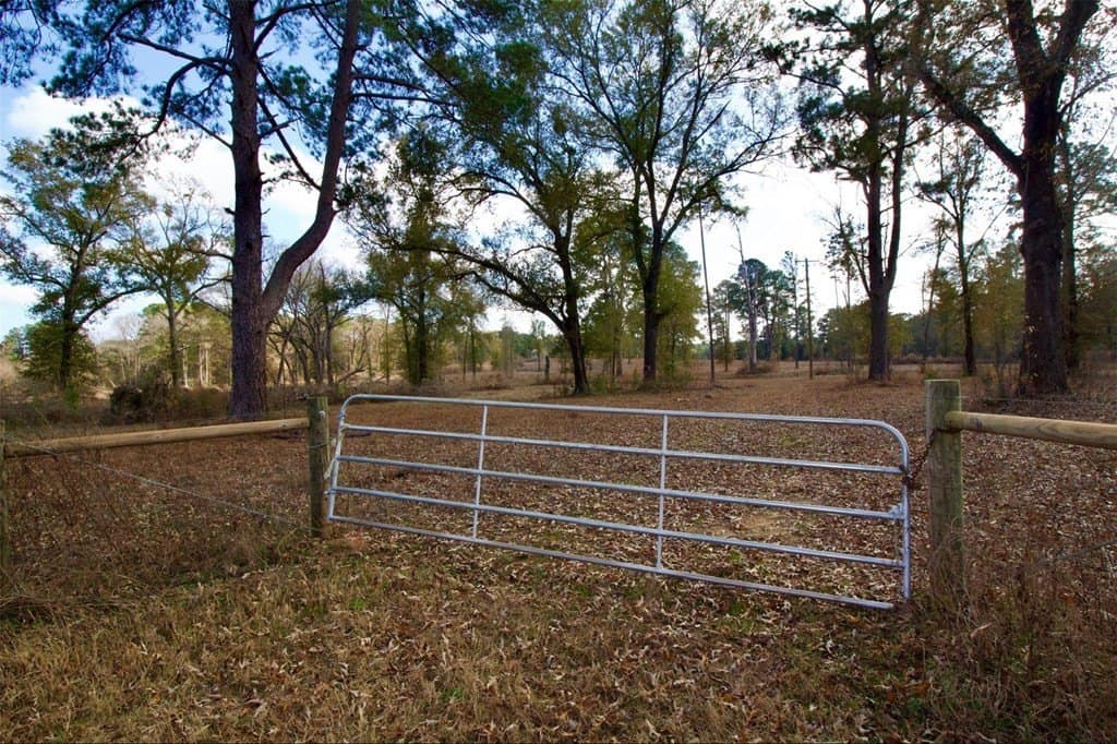 24.69 acres in HOUSTON County - photo 4