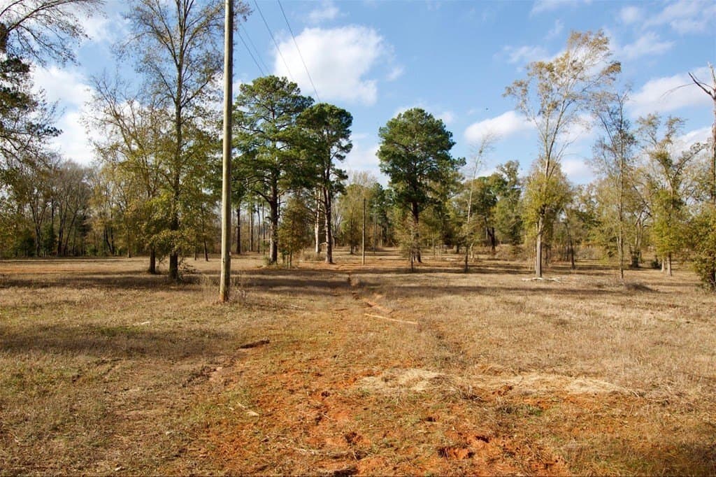 24.69 acres in HOUSTON County - photo 5