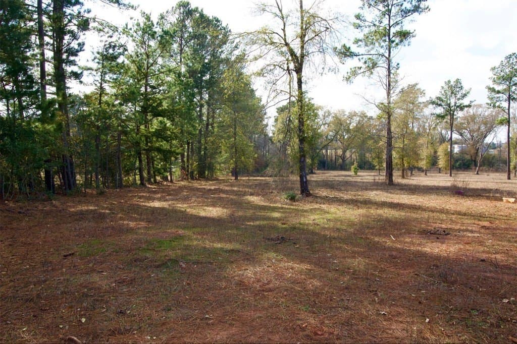 24.69 acres in HOUSTON County - photo 7