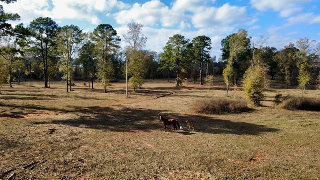 24.69 acres in HOUSTON County - photo 2