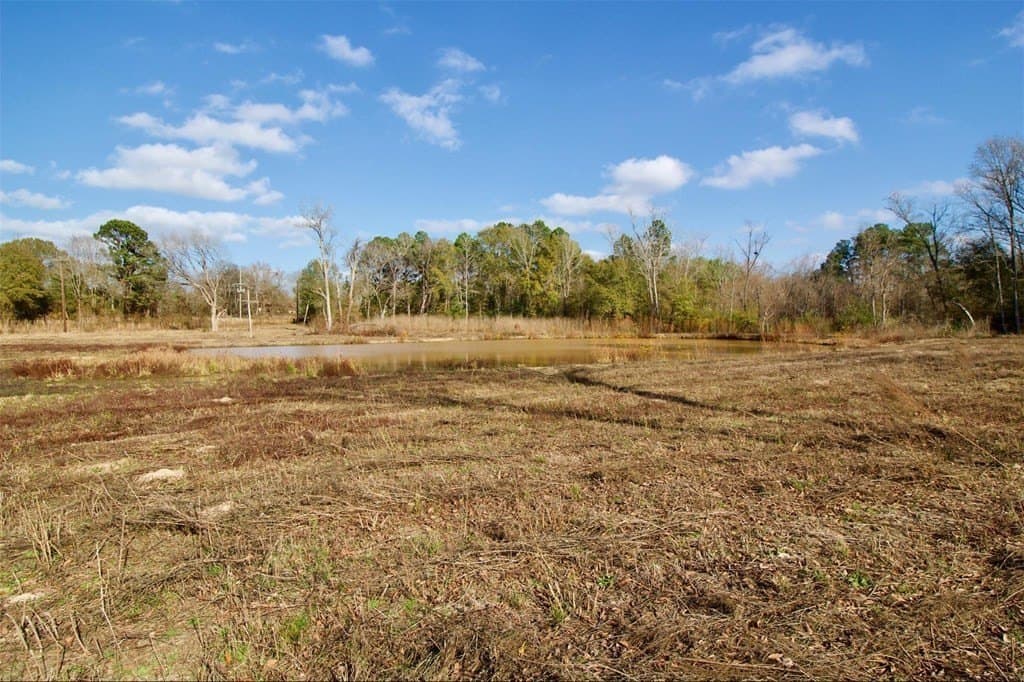 24.69 acres in HOUSTON County - photo 19