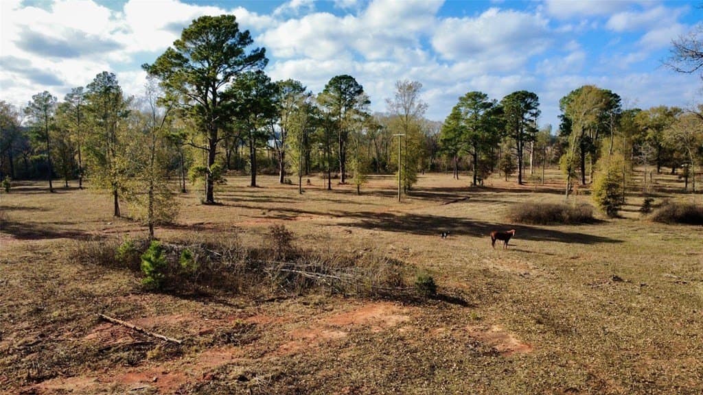 24.69 acres in HOUSTON County - photo 23