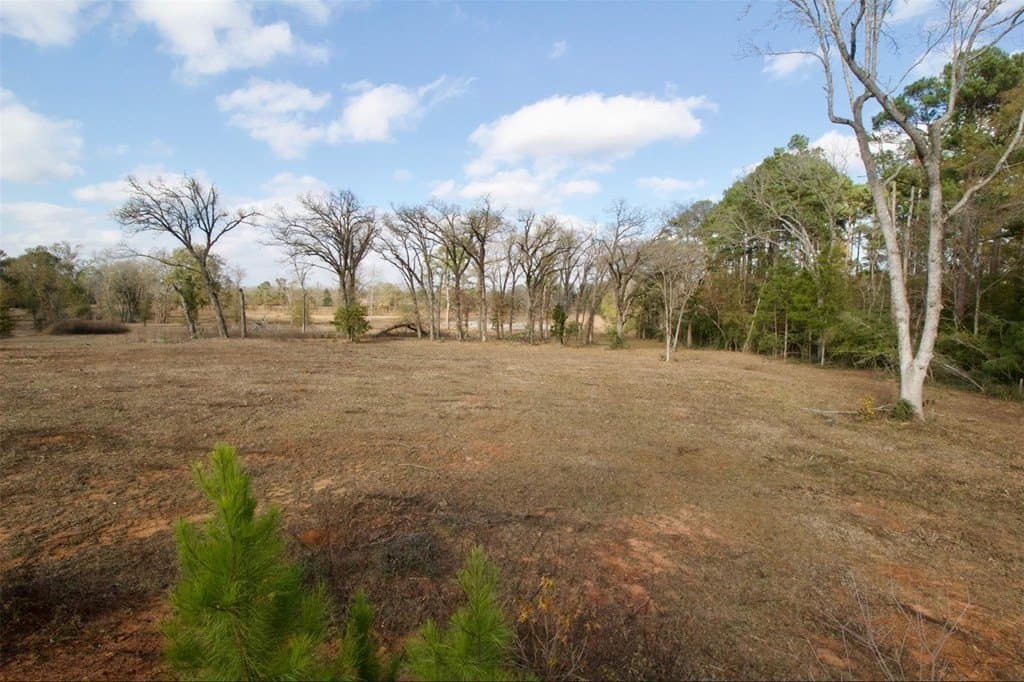 24.69 acres in HOUSTON County - photo 13