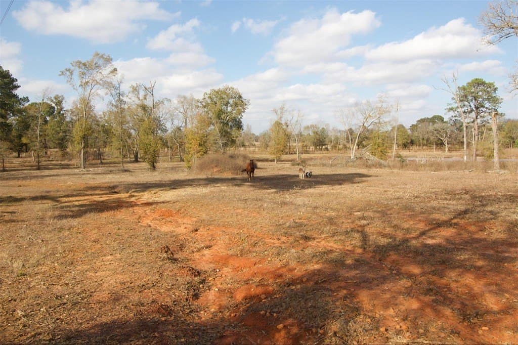 24.69 acres in HOUSTON County - photo 6