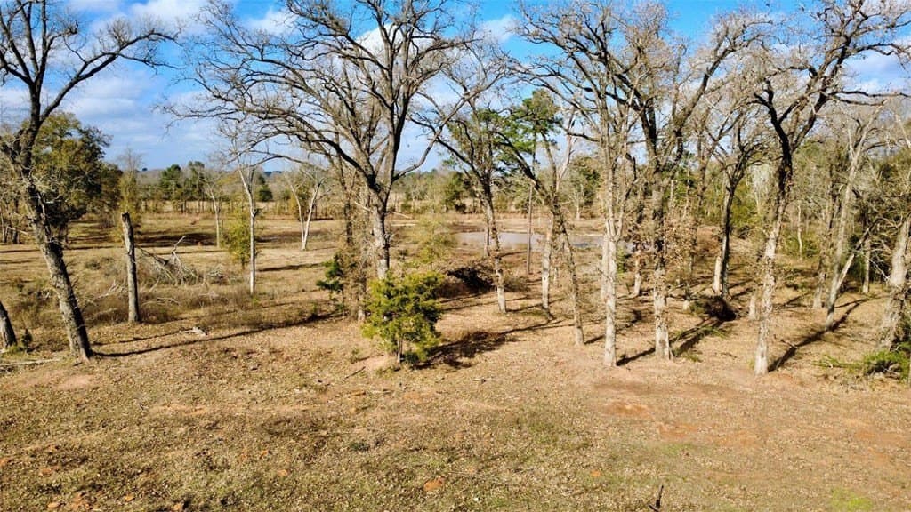 24.69 acres in HOUSTON County - photo 24
