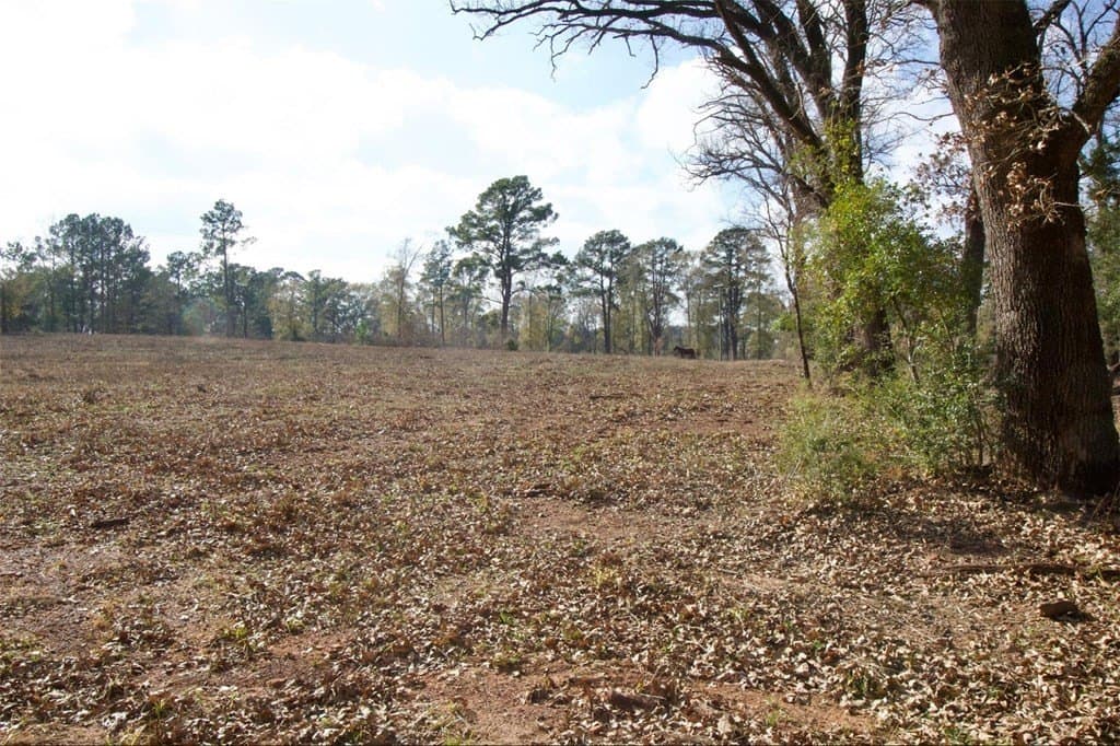 24.69 acres in HOUSTON County - photo 16